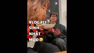 VLOG #13: SINH NHẬT MỰC 🥳 | duongfynn