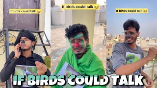 If Birds Could Talk 😂 | Chimkandi