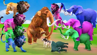 5 Elephants vs Zombie Cow vs 3 Lions Turn into Zombie Lion Attack African Elephant Saved by Mammoth