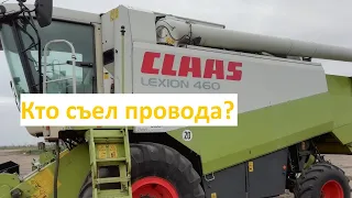 Комбайн Claas Lexion - Крысы съели провода