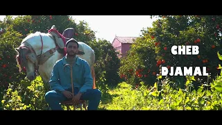 Cheb Djamal _ سيدي خليفة ها شارف ( Clip Officiel )