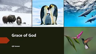 GRACE OF GOD | don't Worry & Trust God - Inspirational Video