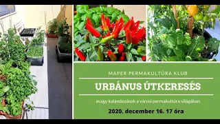 Permakultúra Klub 2020/6: Urbánus útkeresés, avagy kalandozások a városi permakultúra világában