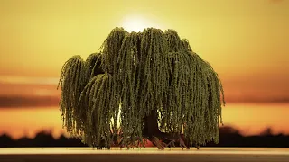 Make this DIY Weeping Willow Tree for Jaw-Dropping Terrain!