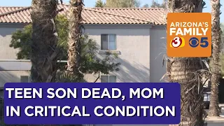 Mom reportedly killed teen son in attempted murder-suicide; survives