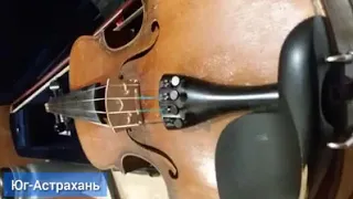 В Астрахани наши старинную скрипку