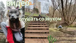 я за кадром!✨ видео слушать со звуком!!😑там поют птички🌿🐾🤗