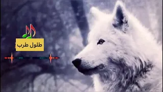 ريمكس استكنان | تركي