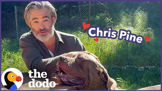 Chris Pine Goes on A Dodo Dream Date | The Dodo