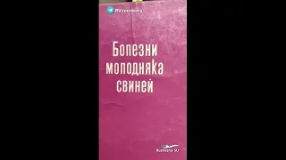 Украина.  Хуторской недорейх.