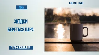 Урок 8. Звідки береться пара. 6 клас. НУШ