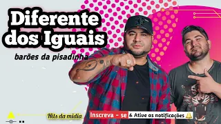 Os Barões da Pisadinha - Diferente dos Iguais - Hits da Midia