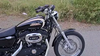 I bought a Sportster (XL1200R)!