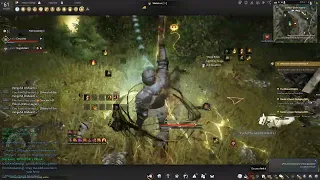 Black Desert online cheater caught auto grinding