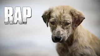 ¿Qué hice para merecer esto? | RAP TRISTE | Perro Abandonado - Secplay