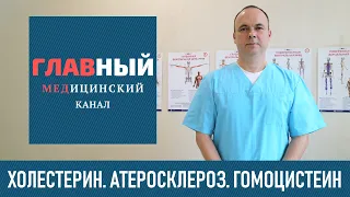 Холестерин и Атеросклероз. Какие причины атеросклероза и что такое гомоцистеин