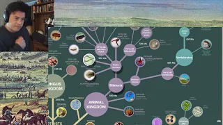 American Reacts Evolution & Classification of Life | Single Celled Bacteria to Humans