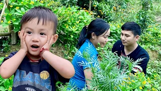 Love and responsibility for baby Bon - Pao prepares to help Huong repair the small garden