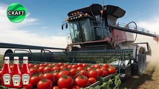 Revolutionary Breakthrough: How Innovation in Food and Agriculture is Changing the Game