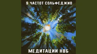 9 частот Сольфеджио