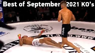 MMA's Best Knockouts of the September 2021 | Part 2, HD