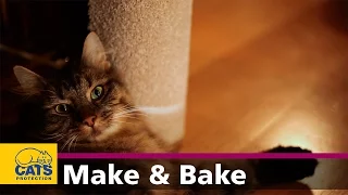 How to make a cat scratching post - Feline Crafty episode five