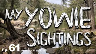 My Yowie Sightings - My Bigfoot Sighting Episode 61