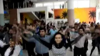 Infy Pune, Flash mob