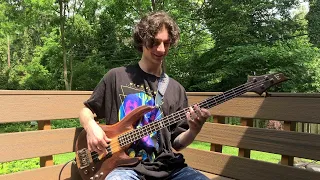 Jaco Pastorius- Come On, Come Over (bass cover)