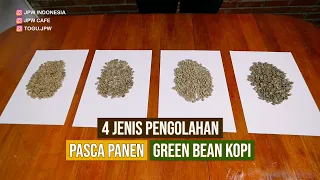 4 JENIS PENGOLAHAN PASCA PANEN GREEN BEAN KOPI