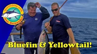 Catching Bluefin & Yellowtail | SPORT FISHING