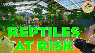 REPTILES AT RISK || EP33 || DUNSWELL ZOO || PLANET ZOO