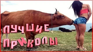 ЛУЧШАЯ ПОДБОРКА ПРИКЛОВ Октябрь 2019 #156 ржака угар ПРИКОЛЮХА