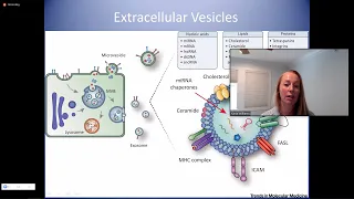 Nanoscale Flow Cytometry Analysis of Extracellular Vesicles for Liquid Biopsy Development in Cancer