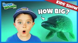 We caught a HUGE fish and won a contest!! | Kids Adventures