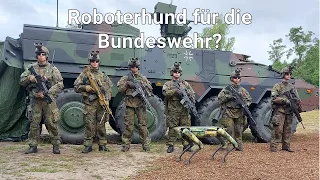 Spot 1 from Boston Dynamics in German military service? Bundeswehr calls it "Wolfgang"