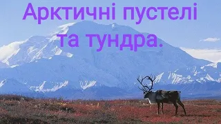 Рослинний і тваринний світ Євразії. Ч. 1 Арктичні пустелі та тундра. Природознавство четвертий клас.