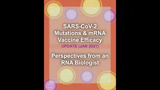How does SARS-CoV-2 Mutate? - Covid-19 Mutations and Variants