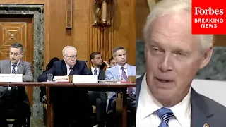 'Anybody Here?': Ron Johnson Asks Witnesses Blunt Questions About Climate Change