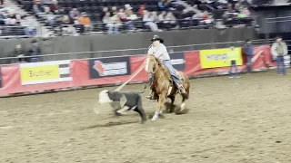 VIDEO: Tie Down Roping Slack at 2023 Black Hills Stock Show and Rodeo