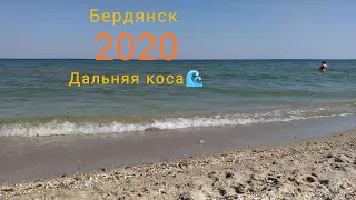 Бердянск 24.07.2020 Дальняя коса, путь к морю🐬ЧАСТЬ 1