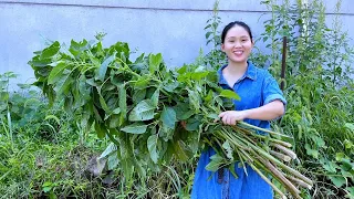 This kind of dish only eats vegetable stems, it is fragrant and smelly after pickling