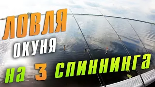 Как поймать много рыбы? Быстрая и ЭФФЕКТИВНАЯ ЛОВЛЯ окуня НА ТРИ СПИННИНГА сразу