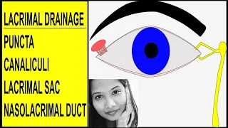 Anatomy of Lacrimal Drainage System - Puncta, Canaliculi, Sac & Nasolacrimal Duct