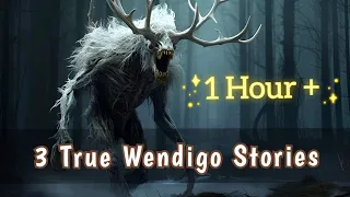 3 True Wendigo Stories With a Fireplace ( 1 Hour + )