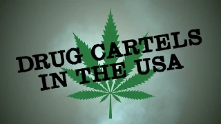 Drug Cartels In America