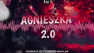 Łzy - Agnieszka 2.0 ( Dj Przemooo & norbercik Bootleg )