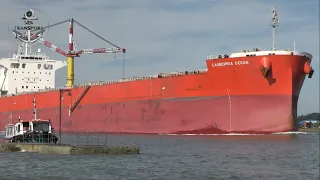 2 YEARS SANTOS PORT SHIPSPOTTING, #236