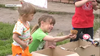 Подали до суду - схаменулась: як волонтери на Харківщині допомагають сім'ям, які опинилися у скруті