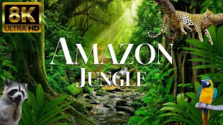 Amazon Jungle 8K ULTRA HD | Wild Animals of Rainforest | Nature Amazon Animals